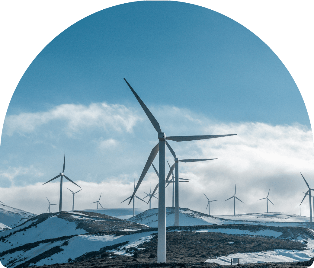 Descripción de la imagen