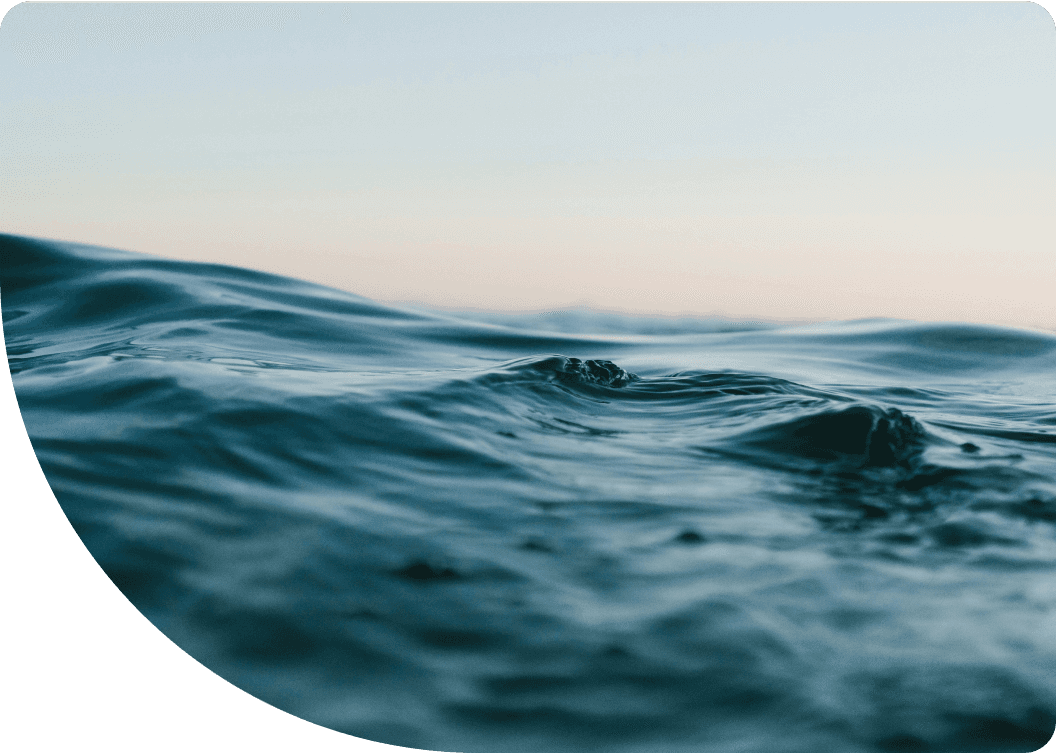 Descripción de la imagen