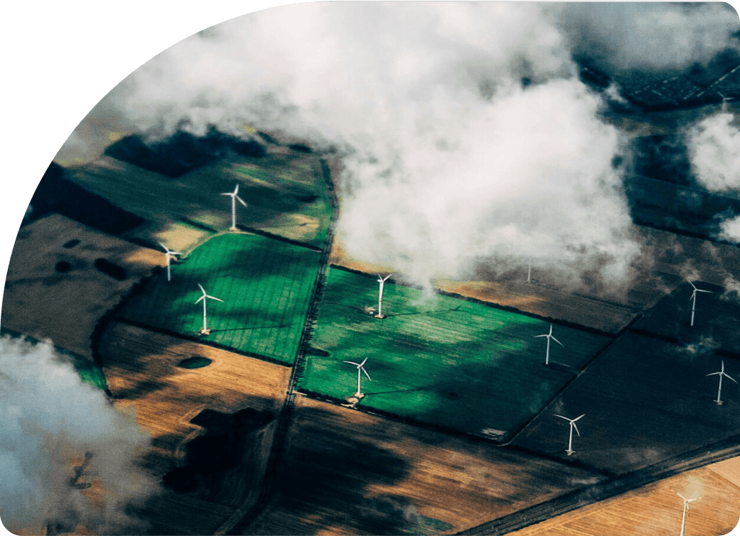 Descripción de la imagen