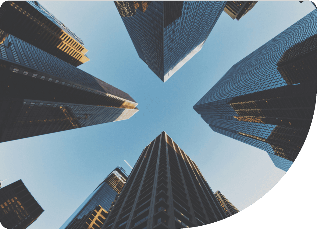 Descripción de la imagen